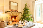 Our Top 100 Christmas Gift Guide