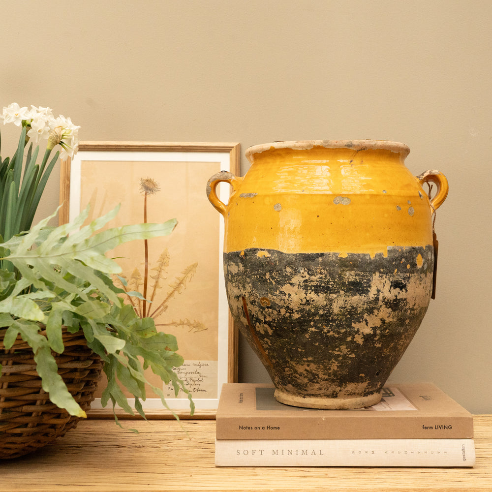 French Confit Pot II