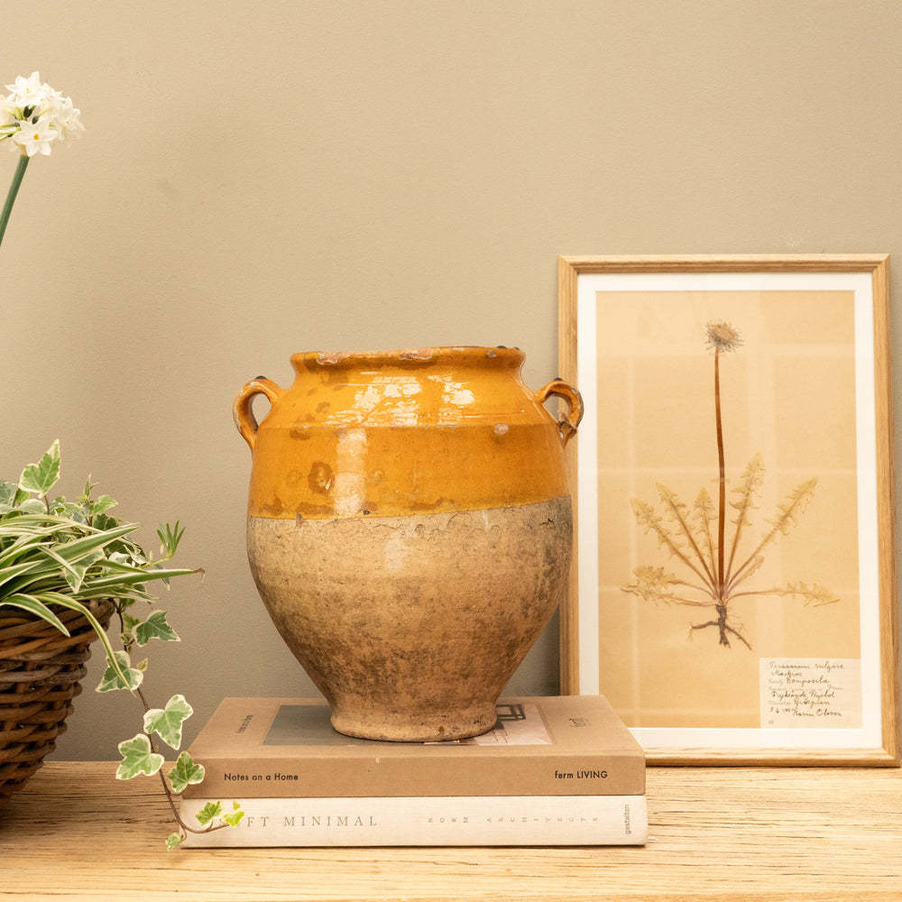 French Confit Pot III