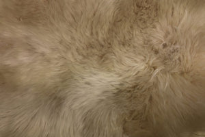 Sheepskin Long Wool - Oyster - Large