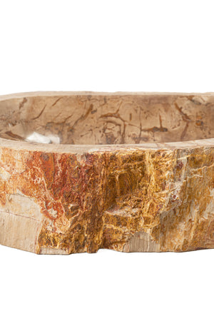 
                
                    Load image into Gallery viewer, Petrified Wood Wash Basin V
                
            