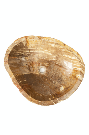 
                
                    Load image into Gallery viewer, Petrified Wood Wash Basin IX
                
            