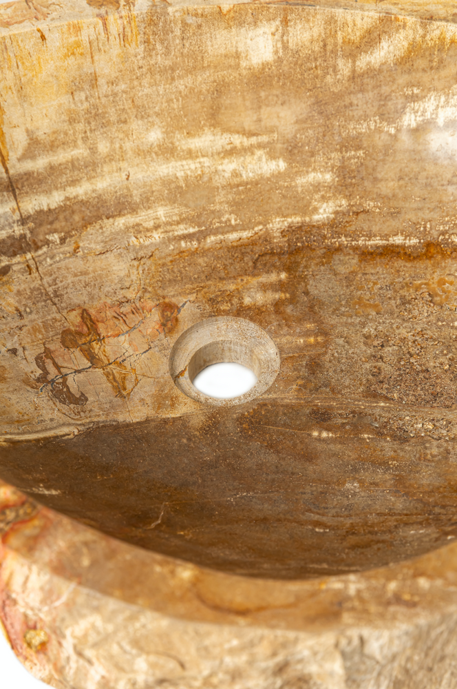 
                
                    Load image into Gallery viewer, Petrified Wood Wash Basin IX
                
            