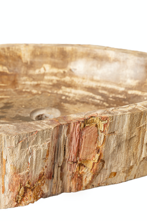 
                
                    Load image into Gallery viewer, Petrified Wood Wash Basin VII
                
            