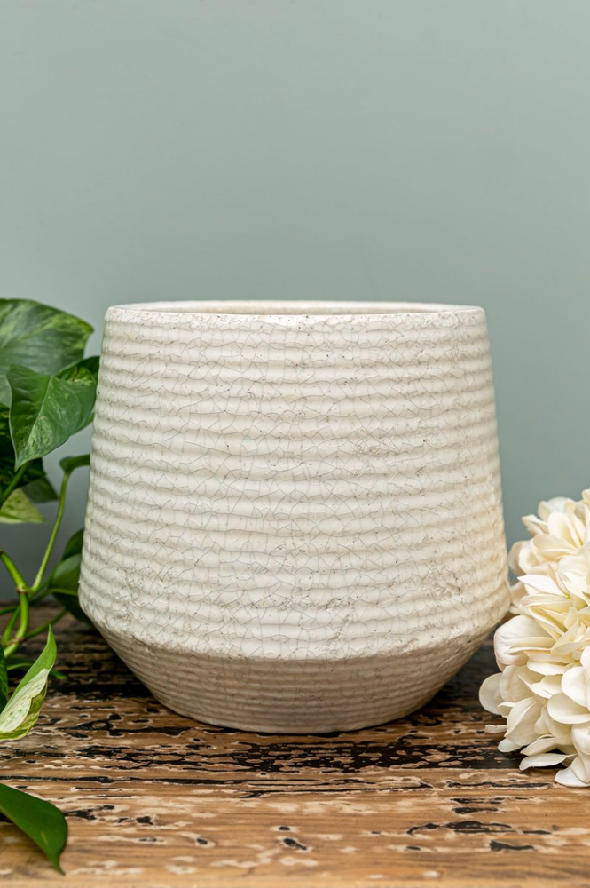
                
                    Load image into Gallery viewer, Ravello Ridged Pot - Large
                
            