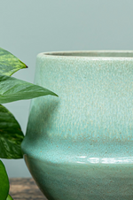 Fusion Flower Pot Mint - 22cm