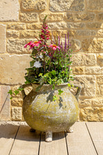 Willy Guhl Cauldron Planter