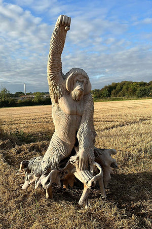 Clyde - Large Orangutan (Click & Collect)