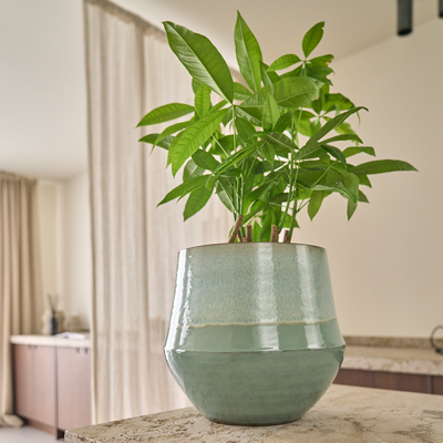 Fusion Flower Pot Mint - 15cm