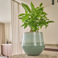 Fusion Flower Pot Mint - 22cm