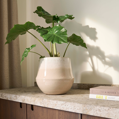 Fusion Flower Pot Nude - 31cm