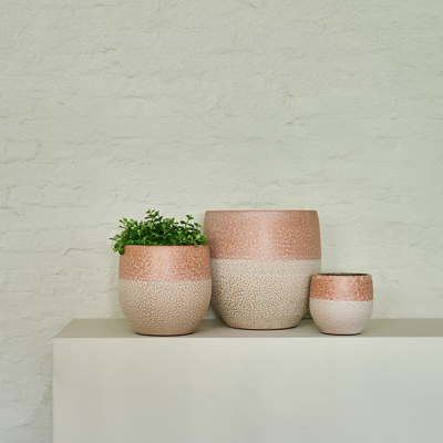 Drop Orchid Pot Rust - 14cm