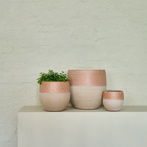 Drop Orchid Pot Rust - 14cm