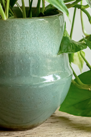 Fusion Flower Pot Mint - 15cm