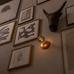 Humble Bee Wall Light - Gold Smoked