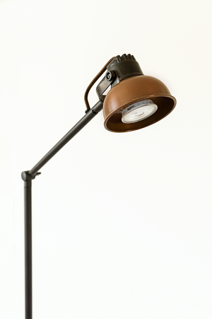 
                
                    Load image into Gallery viewer, Mazz Floor Lamp With Copper Shade
                
            