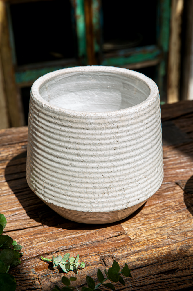 
                
                    Load image into Gallery viewer, Ravello Ridged Pot - Large
                
            