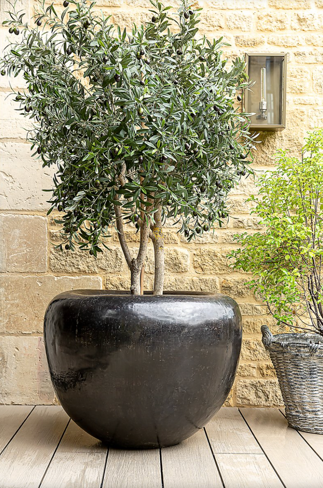 Apple Brass Planter - Aged
