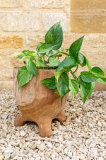 Asara Wooden Planter