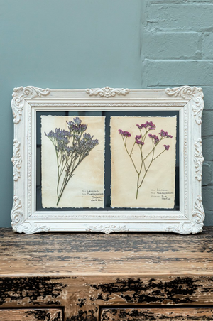 Framed Pressed Flowers 1 (Click & Collect Only)