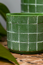 Metric Mini Pot Grass Green - 7cm