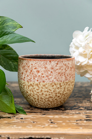 Drop Orchid Pot Rust - 14cm