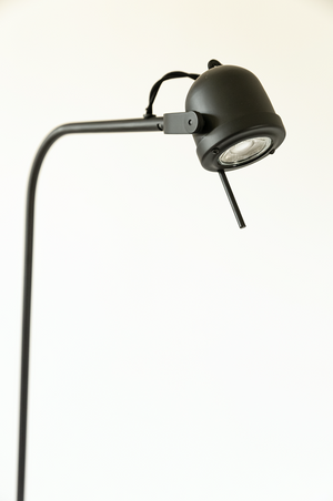 Spezia Floor Lamp - Matt Black